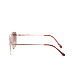 Eyedens Unisex Brown Lens & Gold-Toned Square Sunglasses with image 2
