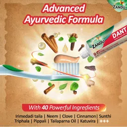 ZANDU Dantveer Toothpaste with Irimedadi Oil - 100 g image 2