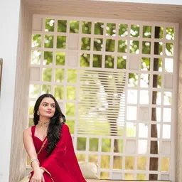 PAYAL CREATION Embroidered Pure Chiffon Maheshwari Saree image 5