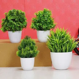 Dekorly Artificial Flowers & Plants With Pot-picture-17
