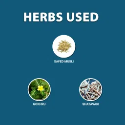 AADAR POWER BUILD | Ayurvedic Real Muscle Mass & weight Gainer | Improves Performance & Boost Metabolism | (Safed Musli, Gokhru, Shatavari) 30 Capsules (Pack 2) image 5