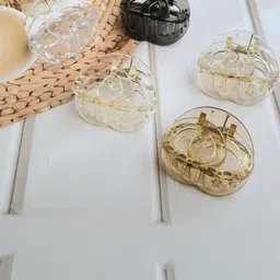 DIVASTRI Women Set of 5 Transparent & Tinted Oval Hair Claw Clips image 5