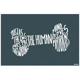 Inephos Multicoloured Wall Fashion-picture-33