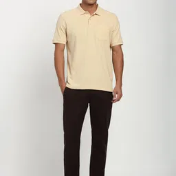 Peter England Men Solid Polo Collar Cotton T-shirt image 2