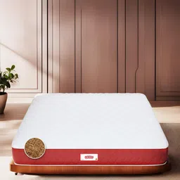 COIRFIT Maroon & White Quilted Cotton Orthopedic Queen Size Mattress-picture-28