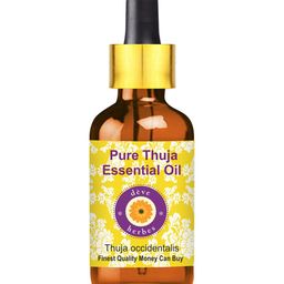 Deve Herbes Pure Thuja Essential Oil with Glass Dropper - Natural Therapeutic Grade - 5ml-picture-21