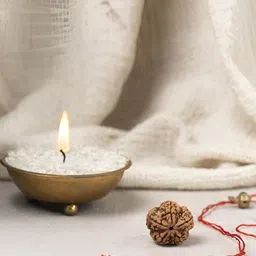 Gemsmantra Brown Wooden 5 Mukhi Rudraksha Nepali Without Pendant image 2