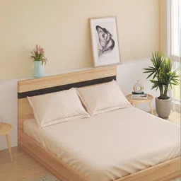 Home Centre Peach-Coloured 210 TC Bedsheet with 2 Pillow Covers-picture-11
