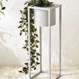 Home Centre Lets Garden Rustica Grey Patterned Flower Planter-picture-39