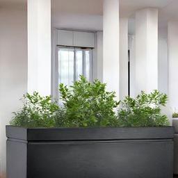 Go Hooked Recta Black & Green Durable Planter-picture-37