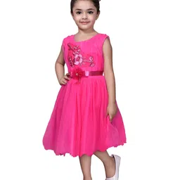 Kidotsav Net Fit & Flare Dress image 3