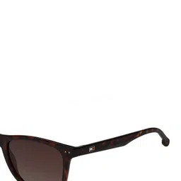 Tommy Hilfiger Unisex Square UV Protected Sunglasses TH 1558 C5 53 S-Brown image 4