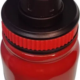 ceepoo 1000 ml Stainless Steel Bottle image 3