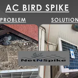 netnspike Bird Spike image 4