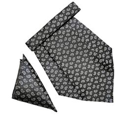 voici Paisley Design Cravats & Pocket Square Combo-picture-32