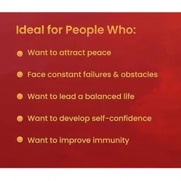 printcorners Artificial Beaded Elasticated Bracelet image 2