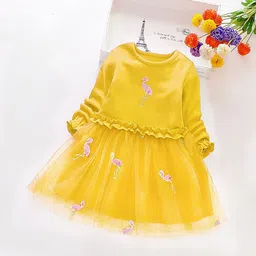 YK Fit & Flare Dress-picture-37