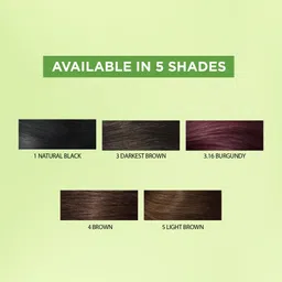 Revlon Color n Care Nourishing Permanent Hair Colour with Shea Butter - Brown 4 image 4