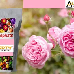 alkarty Rock Phosphate Fertilizer 1kg Soil image 3