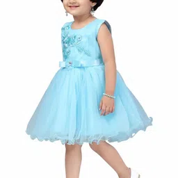 Aarika Net Fit & Flare Dress image 5