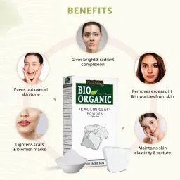 Indus Valley Bio Organic 100% Pure Kaolin Clay Powder image 3
