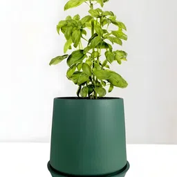LASAKI Clara Green Ceramic Handmade Planter With Plate-picture-13