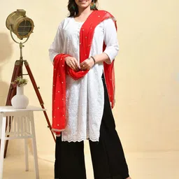 swatika Floral Embroidered Sequinned Chiffon Dupatta-picture-24
