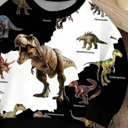 YK Boys Printed Sweatshirt image 2