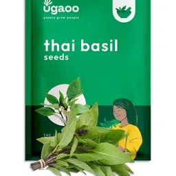 UGAOO Thai Basil Seeds-picture-15