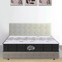 centuary mattresses Sleepables Ortho 8 Inch Pocket Spiring Mattress in Single Size With Zero Partner disturbance Inches image 1