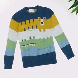 Pantaloons Junior Boys Colourblocked Pullover-picture-16