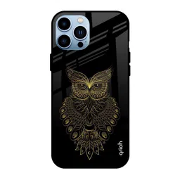 QRIOH Quirky Printed iPhone 13 Pro Back Case Mobile Accessories-picture-45