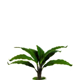 Dekorly White Plastic Artificial Flowers & Plants With Pot-picture-11