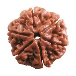 RAVIOUR LIFESTYLE Natural 6 Mukhi Rudraksha Pendants-image-26