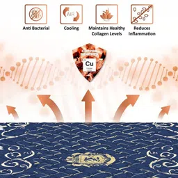 COIRFIT Blue & White Printed Quilted Cotton Single Size Orthopedic Mattress image 3