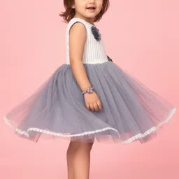 Aarika Net Dress image 2