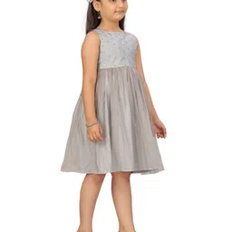 BAESD Net Fit & Flare Dress image 3