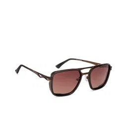 Lenskart Studio Unisex Brown Lens & Brown Square Sunglasses-picture-31