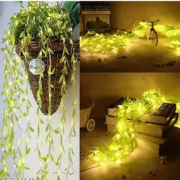 uzala Green Home , crismas ,eid ,party,Diwali,Eid ,out door deorative light,-picture-16