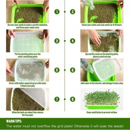 kshavi Seed Sprouter Tray Germination Tray BPA Free Nursery Tray for Planting Great Plant Container Set image 2