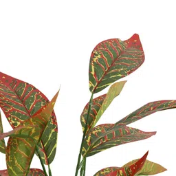 Elemntl Green Core image 5