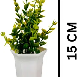 Dekorly Green Plastic Fern Artificial Plants With Pot image 3