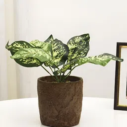 XERGY Green 1 Pieces Bougainvillea Artificial Plant With Pot-picture-11