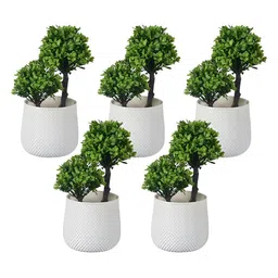 Kuber Industries White & Green 5 Pieces Artificial Plants With Pot-picture-12