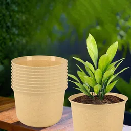 Kuber Industries Beige 10 Pieces Textured Planters With Plate image 1