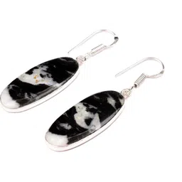 AAR Jewels Rhodium-Plated German SilverDrop Earrings-picture-35