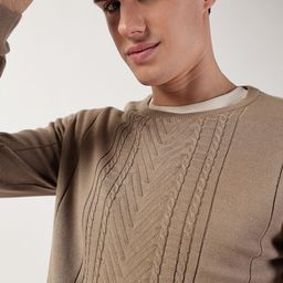 Thomas Scott Round Neck Self Design Pullover Sweater-picture-46