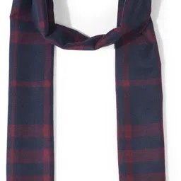 CANTABIL Checkered Men Muffler image 3