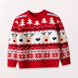 FOREVER FRIDAY Boys Fair Isle Printed Pullover-picture-20