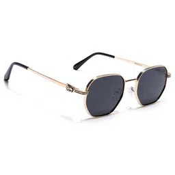 Eyejack Unisex Black Lens & Gold-Toned Wayfarer Sunglasses with-picture-25